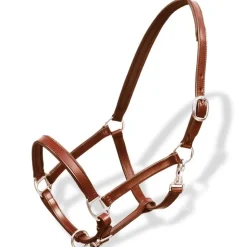 Echtleder Halfter Stallhalfter verstellbar braun Pony