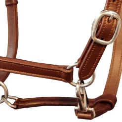 Echtleder Halfter Stallhalfter verstellbar braun Pony