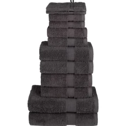 vidaXL 12 tlg. Premium-Handtuch-Set SOLUND Anthrazit 600 g/m²