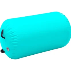 vidaXL Aufblasbare Gymnastik-Rolle mit Pumpe 100x60 cm PVC Grün
