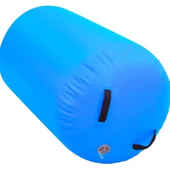 vidaXL Aufblasbare Gymnastik-Rolle mit Pumpe 100x60 cm PVC Blau