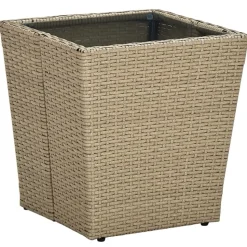 vidaXL Beistelltisch Beige 41,5x41,5x44 cm Poly Rattan und Hartglas